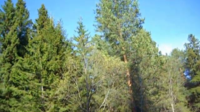 А белый лебедь на пруду... смотреть онлайн