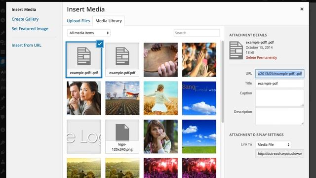 How to Upload a PDF file to WordPress and Create A Link To the PDF смотреть онлайн
