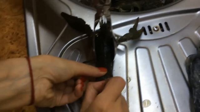 Чистим и готовим раки смотреть онлайн