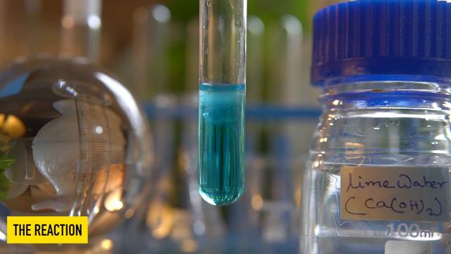 What Is The Reaction Of Copper Sulphate (CuSO4) And Calcium Hydroxide Or Lime Water (Ca(OH)2)?