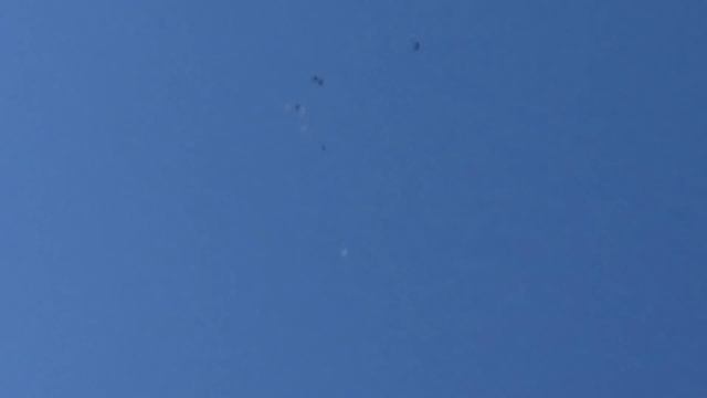 Прикормка с чесноком и перцом для голубей.18.10.18г смотреть онлайн