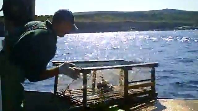 Setting a lobster run/trawl смотреть онлайн