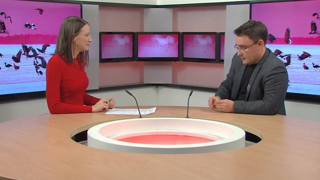 13 тысяч километров в полёте без сна и отдыха, карта звёздного неба и миграция птиц / Навстречу смотреть онлайн