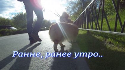 Ранее, ранее утро.