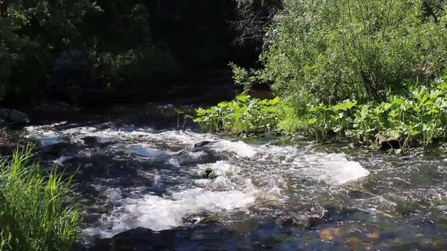 Река Межевая Утка сразу после плотины смотреть онлайн