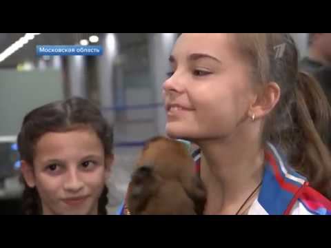 В Шереметьево встретили триумфаторов чемпионата мира по художественной гимнастике смотреть онлайн
