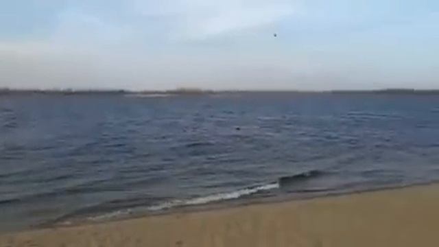 ПРОГУЛКА ПО ПЛЯЖУ НА САМАРСКОЙ НАБЕРЕЖНОЙ смотреть онлайн