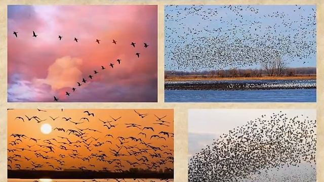 Осенние изменения в природе 2 смотреть онлайн