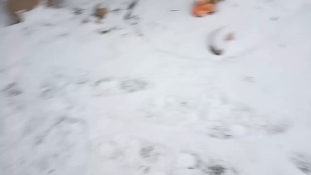 Распаковка — Тачка Limex T0702K 80L смотреть онлайн