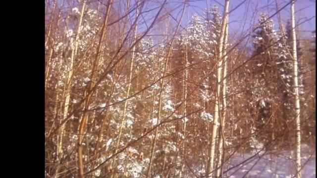 Зима (фото)