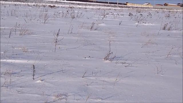 Окунево, участок 365 смотреть онлайн