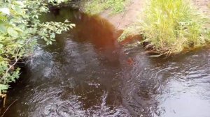 Как сделать когти-древолазы своими руками часть 1