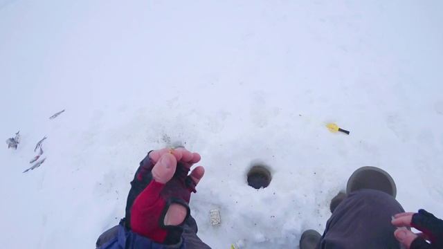 ПЛОТВА ЗИМОЙ НА ОЗЕРЕ .ФЕВРАЛЬ . КРЕНИЦЫ . ЛАДОГА . смотреть онлайн