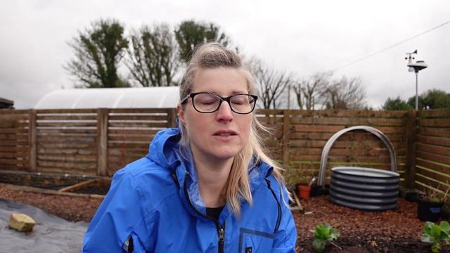 Planting an Apple Tree| Flatworms | Harvesting Carrots, Parsnips, Desiree Potatoes | Irish Garden смотреть онлайн