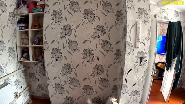 В ГОСТЯХ У ВИТАЛИКА С АНГЕЛИНОЙ /И У НАТАЛЬИ С АЛЕКСАНДРОМ /НАТАЛЬЯ ПРОВЕЛА НАМ ЭКСКУРСИЮ ЖИЛОЙ ЗОН смотреть онлайн