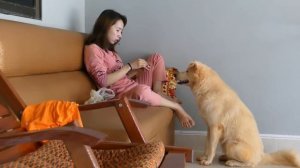 LOVELY SMART GIRL PLAYING BABY CUTE DOGS AT HOME HOW TO PLAY WITH DOG & FEED BABY DOGS #4