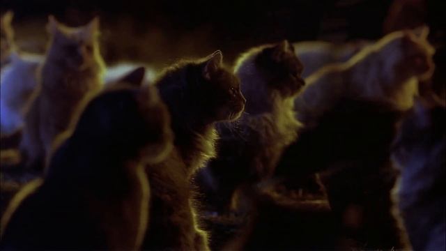 Feline Finale | Sleepwalkers| Voyage смотреть онлайн