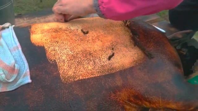 Отзыв из Белоруссии на финку и нож Соболь К340 смотреть онлайн