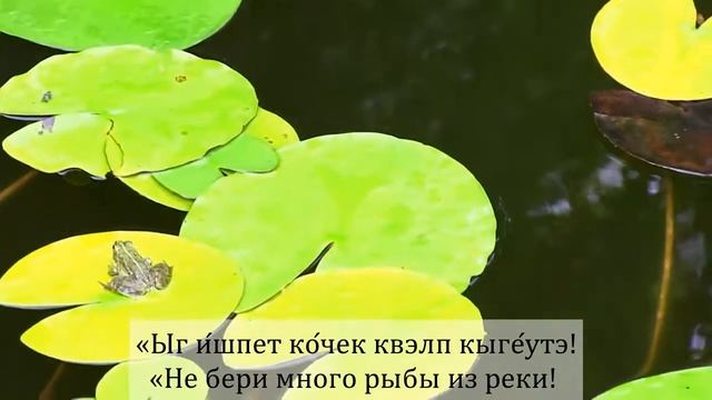 Сказка про лягушку на селькупском языке смотреть онлайн