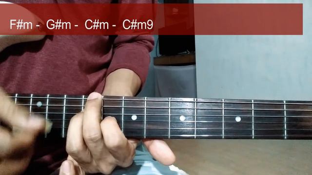 I belong to the zoo - paumanhin - guitar chords tutorial смотреть онлайн