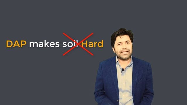 Misconceptions about DAP Fertilizer | Diammonium Phosphate | Majid Saleem | Agriculture in Pakistan смотреть онлайн