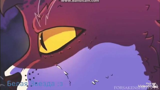 Коты воители-Кленовница смотреть онлайн