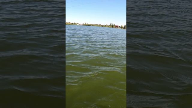 Случай на рыбалке!!! #Shorts смотреть онлайн