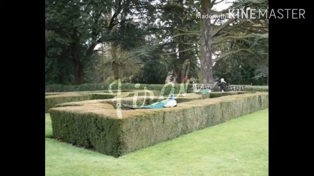 Warwick Castle Tour - Attractions in England смотреть онлайн