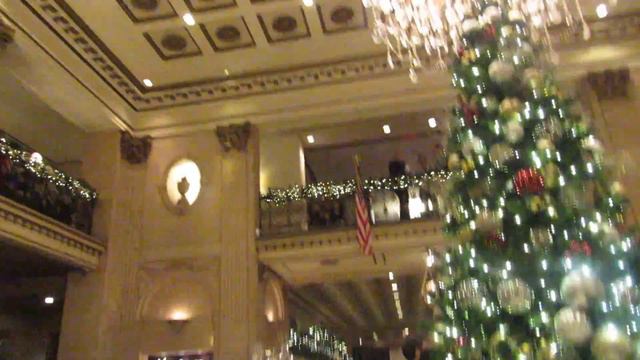 vlog do canal william alves смотреть онлайн