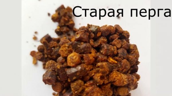 Проверка перги на свежесть