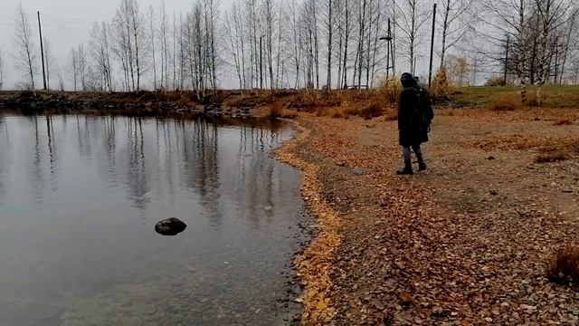 Озеро Среднее Куйто, Калевала смотреть онлайн