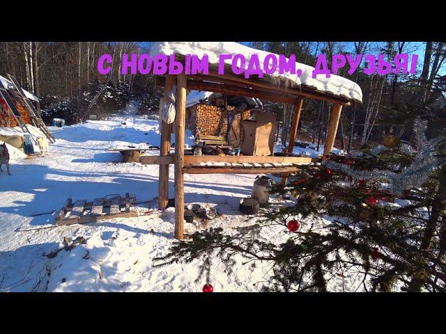 ЗИМОВЬЕ. ОТМЕЧАЕМ ДЕНЬ РОЖДЕНИЯ. 3 часть смотреть онлайн