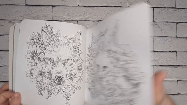 Обзор раскраски ＂ Мир поразительных существ ＂ Кэна Мацуды ?Обзор раскраски " Мир поразительных суще смотреть онлайн