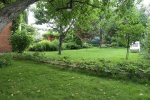 ГАЗОН / Своими руками / ДЕЛАЕМ ПРАВИЛЬНО! .mp4