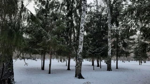 Книга: Как найти свою вторую половинку. Часть 7. смотреть онлайн