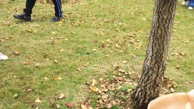 Беременность в раннем возрасте, как проходит? смотреть онлайн