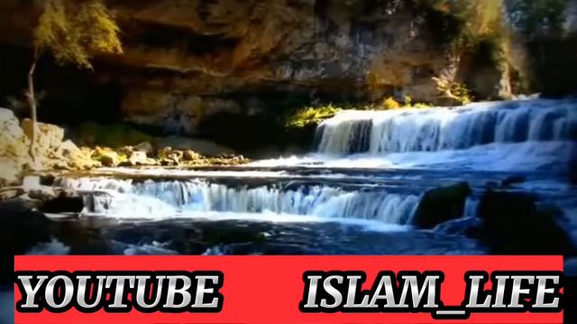 аминтаза нашид  каждое утро    #нашид  #АМИНТАЗА #islam_life