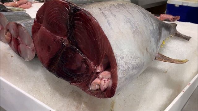 New Dubai Fish Market | Deira Waterfront Fish Market UAE | Massive & Clean Market смотреть онлайн