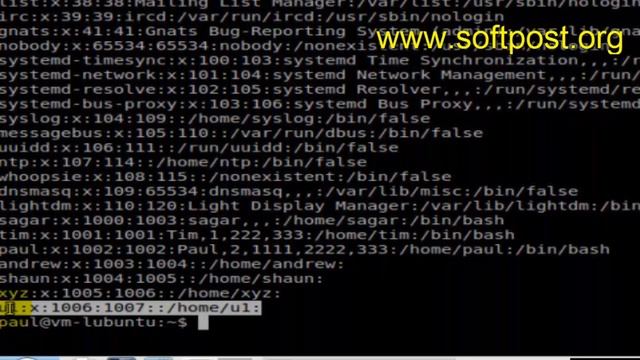 How To Delete A User In Arch Linux