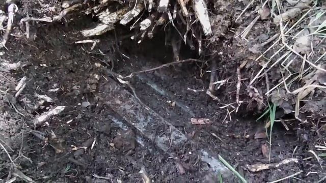 #Коп метала на УЖД, конкурент заказчик на хвосте,коп в два вездехода смотреть онлайн