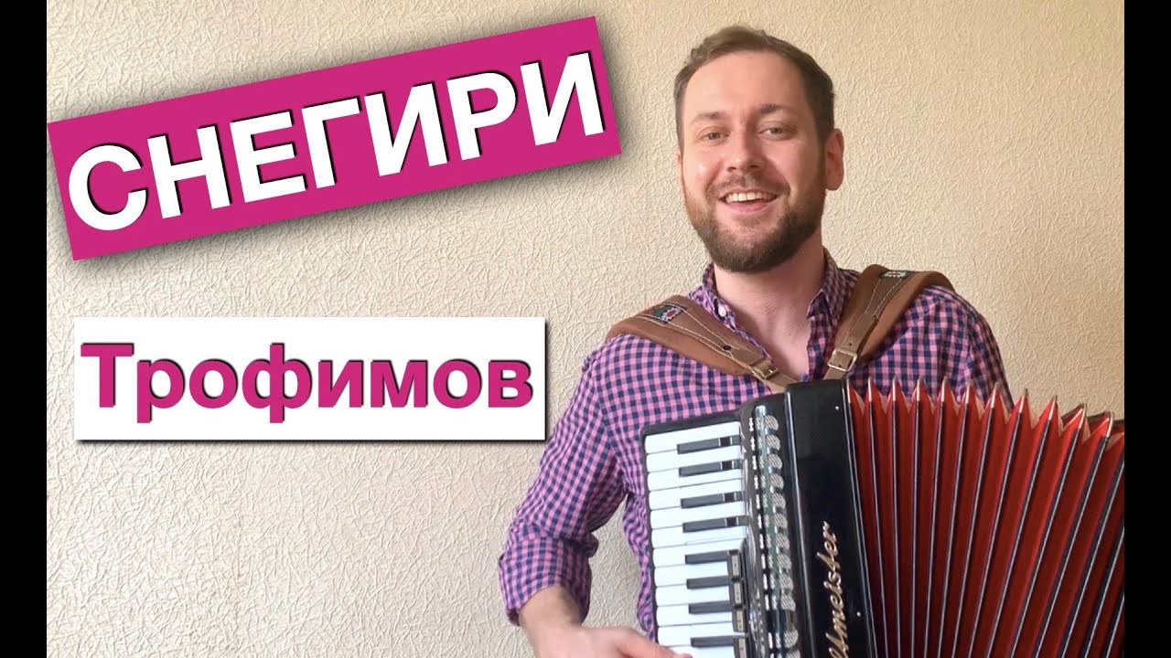 Снегири Трофимов Шансон на аккордеоне баяне | Аккордеонист Баянист Видео песня смотреть онлайн