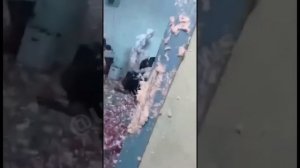Запенили всё ,монтажная пена .