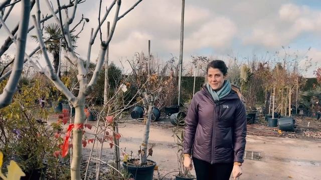 Uncovering Our Hidden Chateau Garden Terrace | French Chateau Garden DIY смотреть онлайн