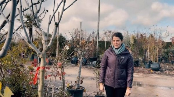 Uncovering Our Hidden Chateau Garden Terrace | French Chateau Garden DIY