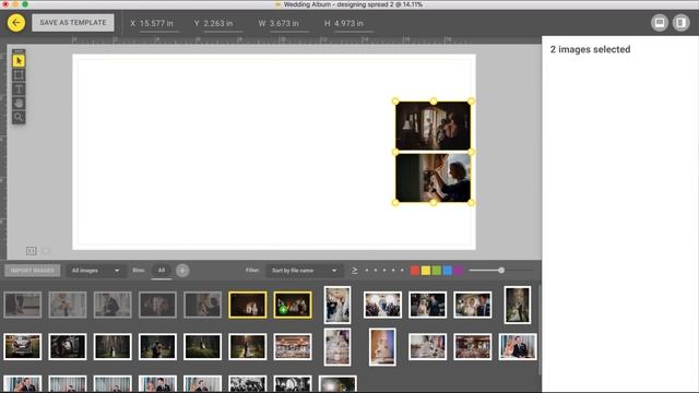Pixellu SmartAlbums DigiGate Italian official Partner смотреть онлайн