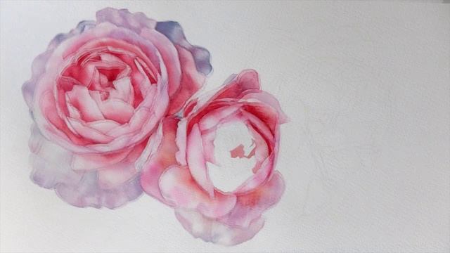 Watercolor Timelapse - English Rose 