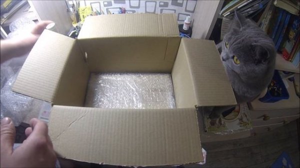 магазин Scooter Zip подарок покупателю