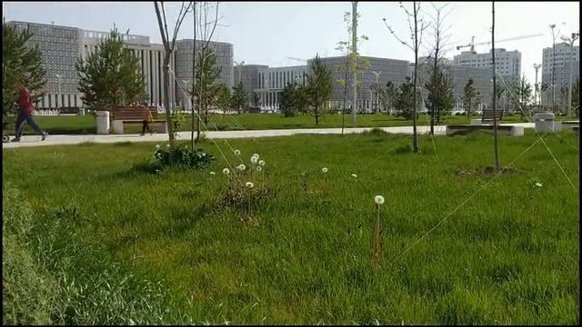 Цветут и пахнут! смотреть онлайн