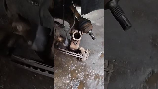 Ксара Пикассо.Меняем опорник.14 марта 23 г. смотреть онлайн