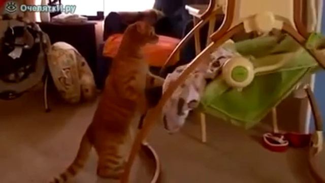 Кот укачивает малыша смотреть онлайн